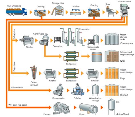 Fruit Processing Example