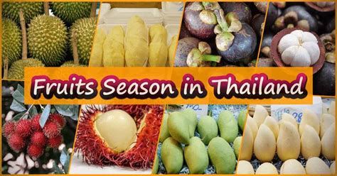 fruit season in thailand