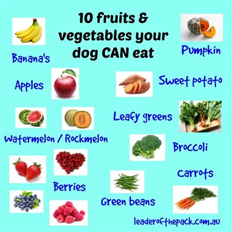 fruit that dogs can eat