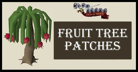 fruit tre patch osrs