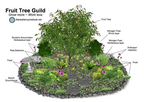 Fruit Tree Farming Guild