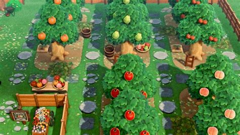 Fruit Tree Ideas Acnh