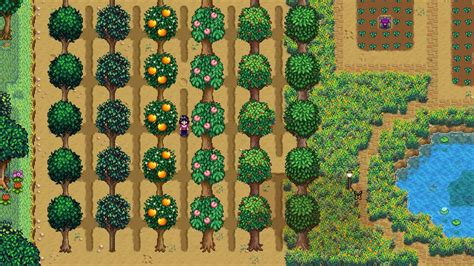 fruit tree stardew