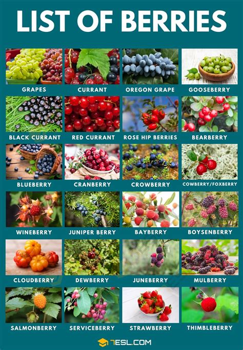 Fruit Varieties List