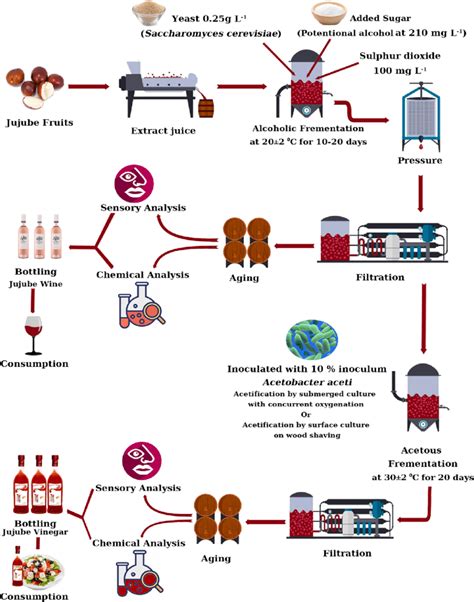Fruit Wine Process