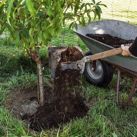 Fruitbomen Bemesting