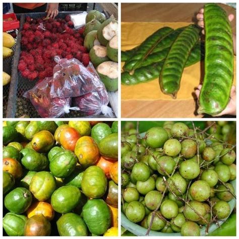 fruits of honduras