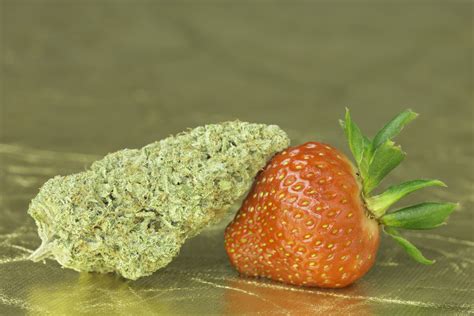 Fruity Exotic Weed Strains