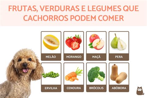 Frutas Que Cao Pode Comer