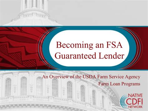 fsa guaranteed loan application