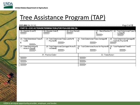 fsa tree assistance program
