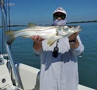 A fisherman holding a large Cobia caught in Ft Pierce