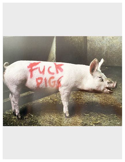 fuck pigs 1