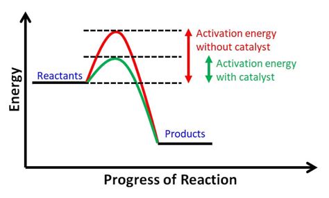 Fuel Cell Activation Energy