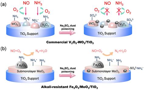 Fuel Cell Catalyst Poisoning