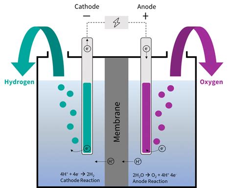 Fuel Cell Electrolysis