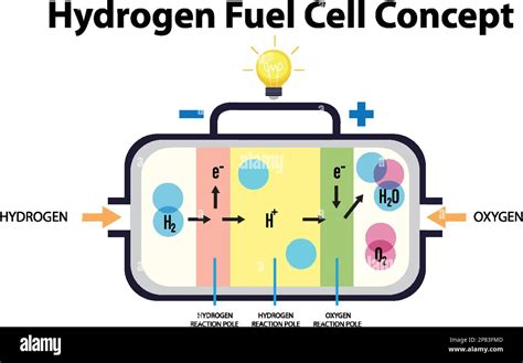 Fuel Cell Technology Hydrogen