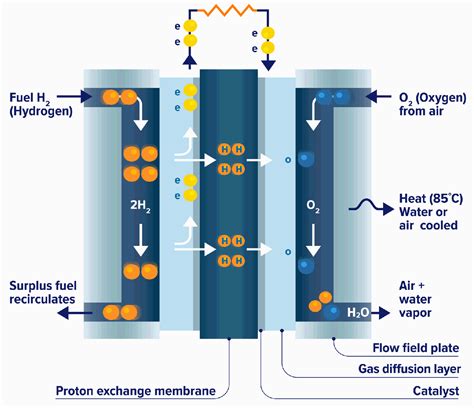 Fuel Cells Membrane