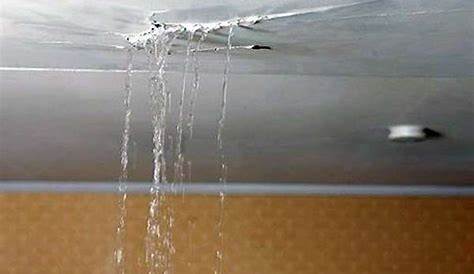 Que faire si je constate une fuite d’eau au plafond ou une