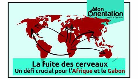 Fuite Des Cerveaux Afrique PPT La En Ampleur Et