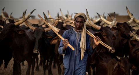fulani pastoralism