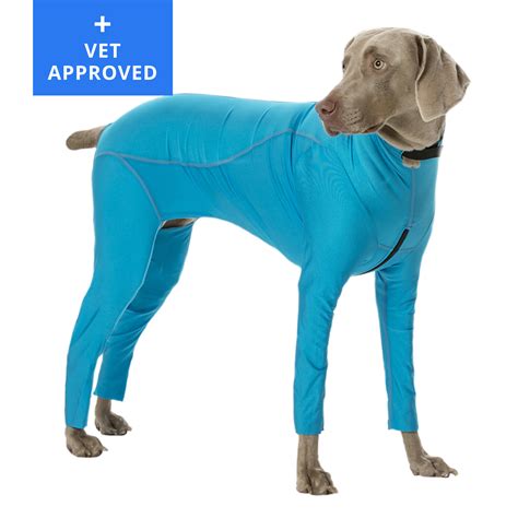 🥇 Dog bodysuit male full body protection coat / jacket / hoodie for