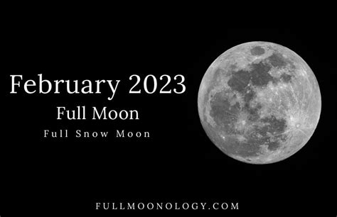 Full Moon Yoga & Swim 16th Feb 2022 Mini Musos