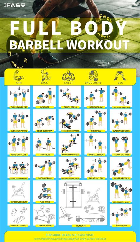 Full Body Workout Explained