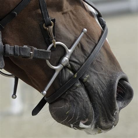 Full Cheek Snaffle Bit Use