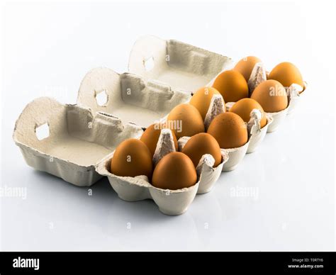Full Egg Carton