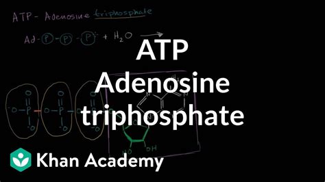 full form of atp in biology class 9