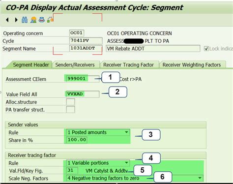 full form of copa in sap