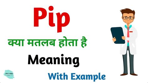 full meaning of pip
