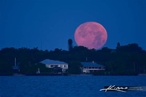 full moon florida
