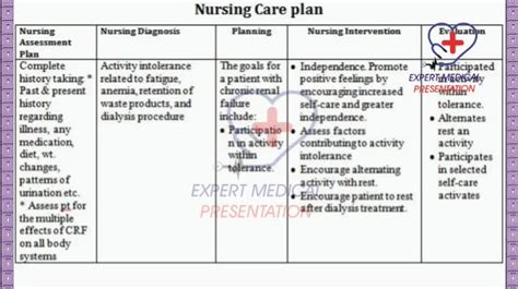Full Nursing Care Plan Guide