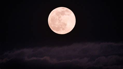 Full Pink Moon Phenomenon Explained: Secrets and Enchantment