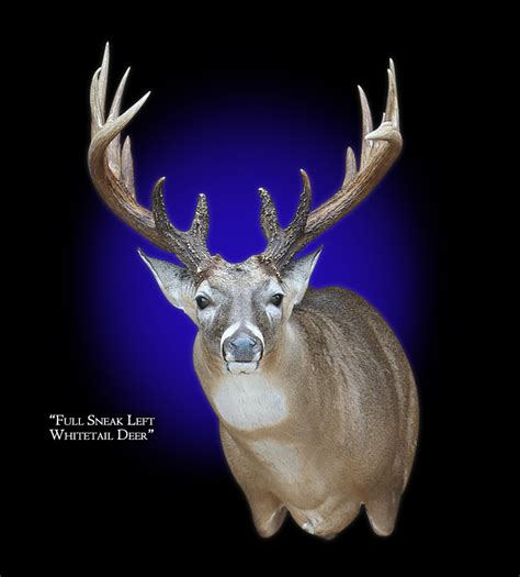 Full Sneak Deer Mount Tips