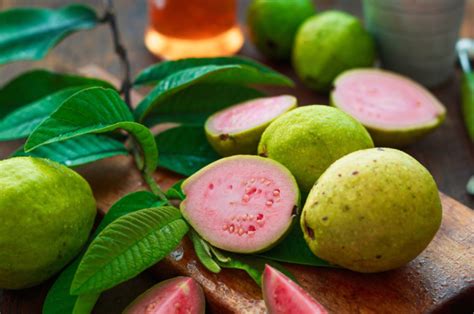 Fumar Hojas De Guayaba