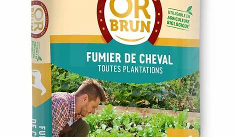 Fumier De Cheval Or Brun FUMIER DE CHEVAL "OR BRUN" SAC DE 20 KILOS / PAL. DE 48