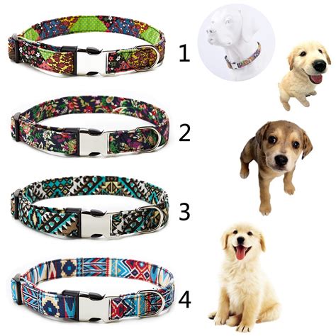 Fun Dog Collars And Leashes