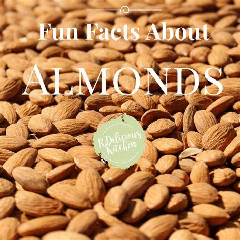 Fun Facts of Almonds Serving Joy