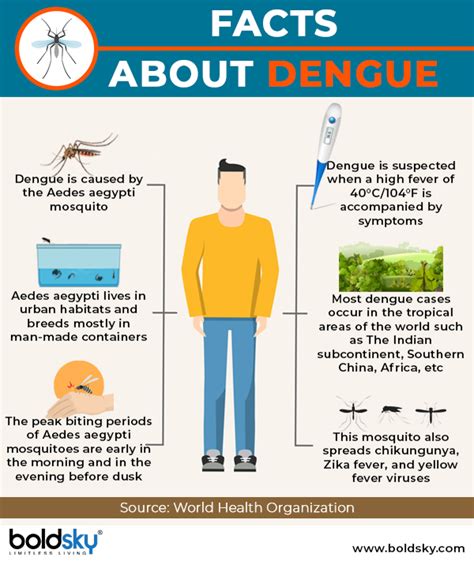 fun facts about dengue fever