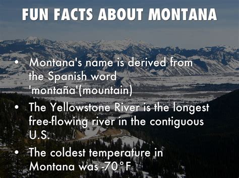 fun facts about montana for kids