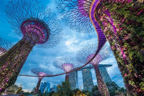 fun facts about singapore botanic gardens
