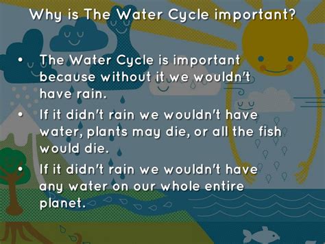 fun facts about the water cycle for kids