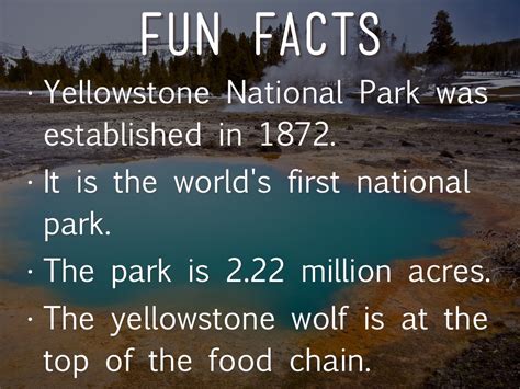 fun facts about yellowstone national park