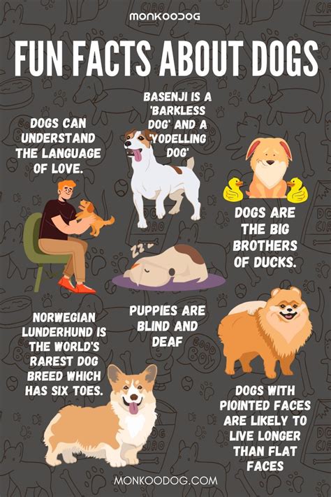 fun facts dogs