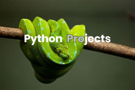 fun python projects for intermediate