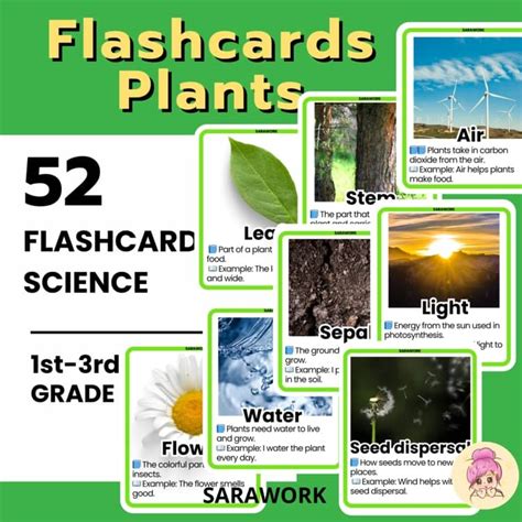 fun science flashcards