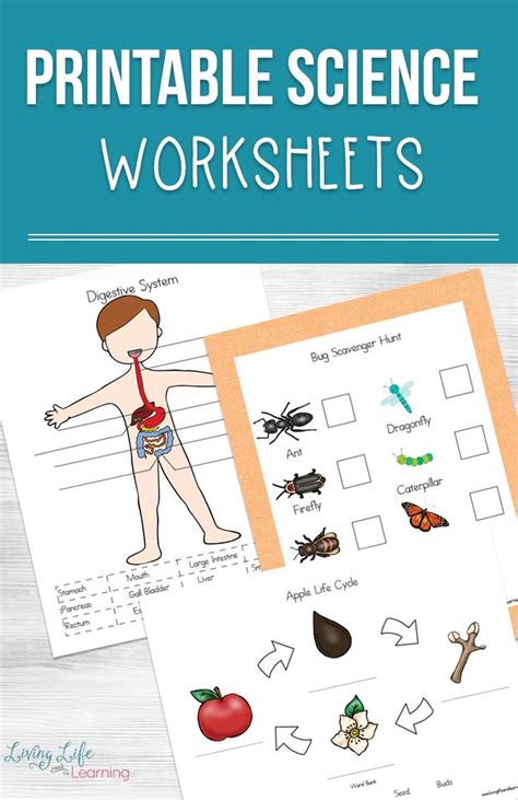 Fun Science Worksheets Pdf